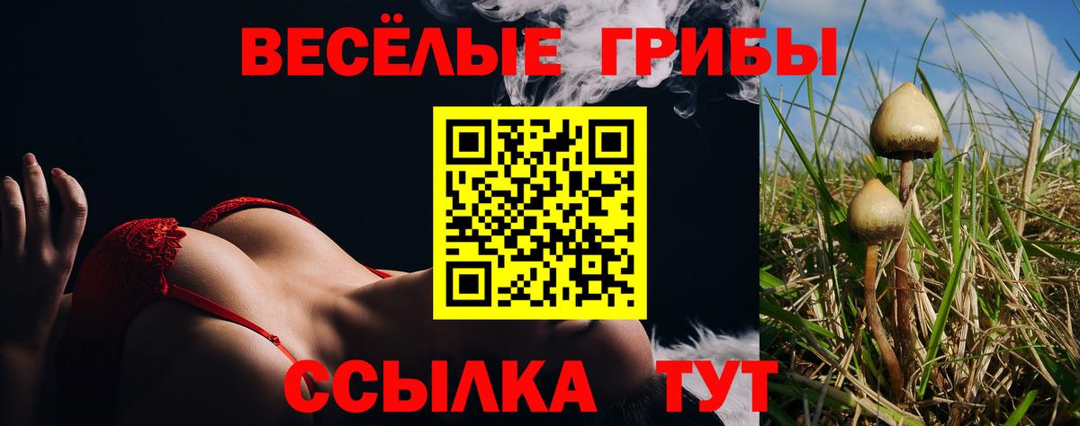 Галлюциногенные грибы Psilocybine cubensis  Псилоцибиновые грибы мухоморы  Шелехов  Вход с VPN 